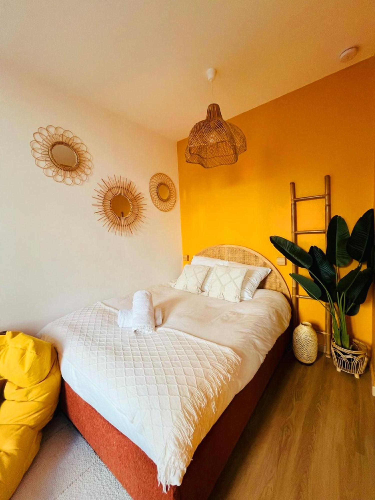 Appartamento Climatise Renove -lit Queen Size Nizza